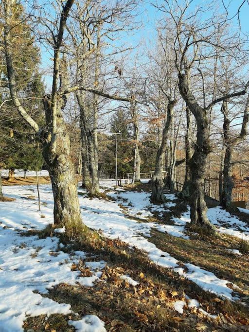 皮斯托亚Casa Del Castagno: Un Nido Nel Castagneto别墅 外观 照片