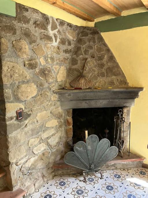 皮斯托亚Casa Del Castagno: Un Nido Nel Castagneto别墅 外观 照片